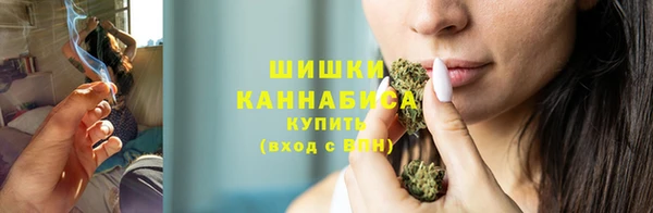 стафф Гусев