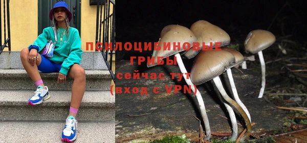 дживик Белоозёрский