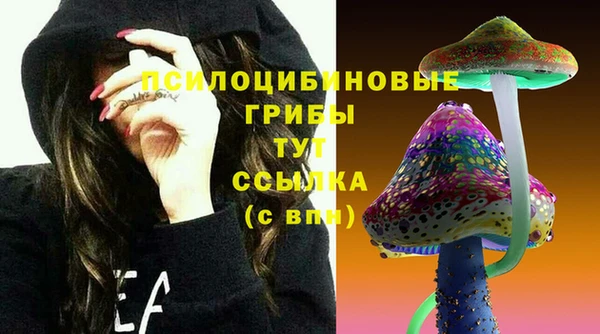 первитин Балахна