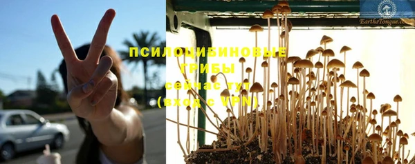 дживик Белоозёрский