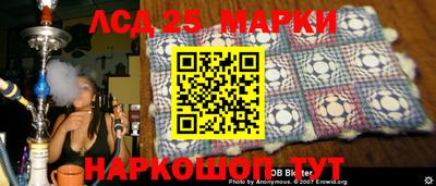 крисы Новокубанск