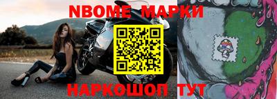 крисы Новокубанск