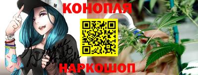 крисы Новокубанск