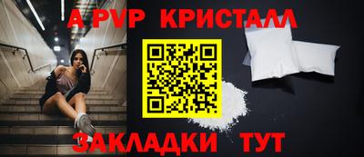 крисы Новокубанск
