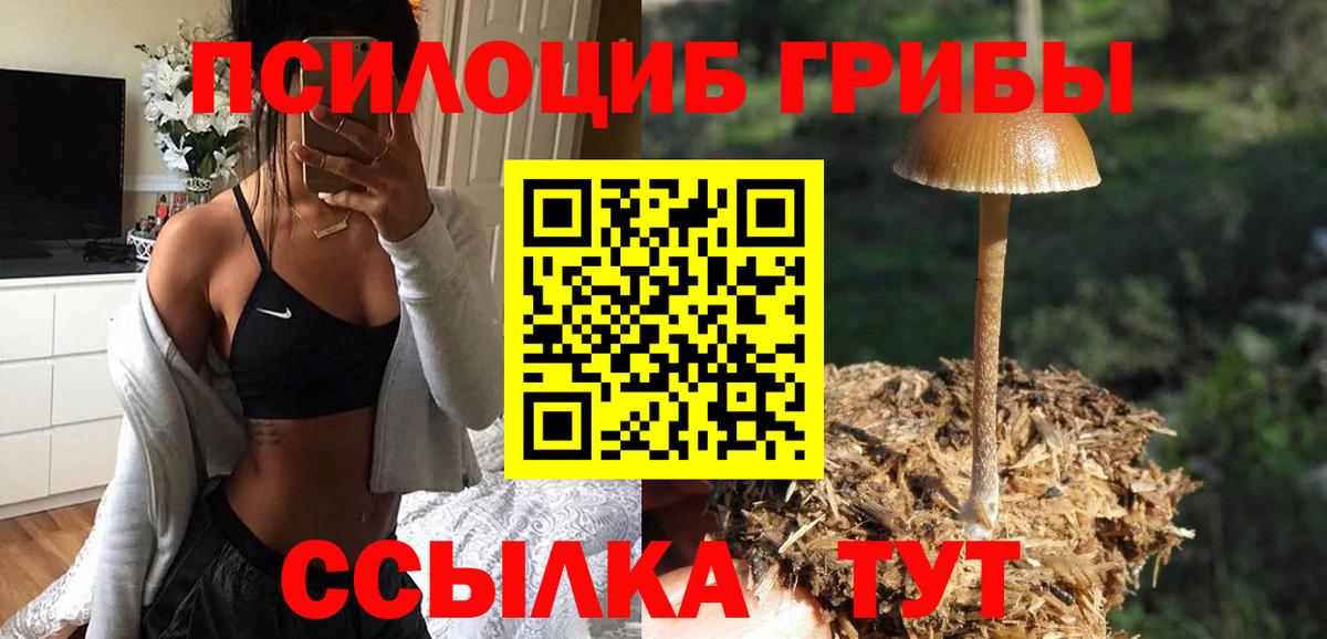 Псилоцибиновые грибы мухоморы  Галлюциногенные грибы MAGIC MUSHROOMS  Вход с VPN  Валуйки 