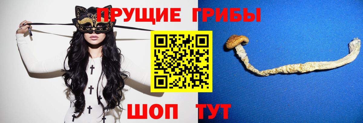 Псилоцибиновые грибы Magic Shrooms Валуйки